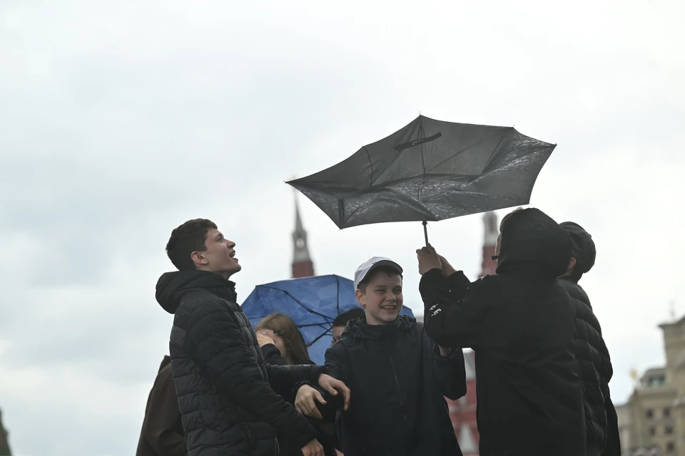 Желтый уровень погодной опасности введен в Москве из-за сильного ветра