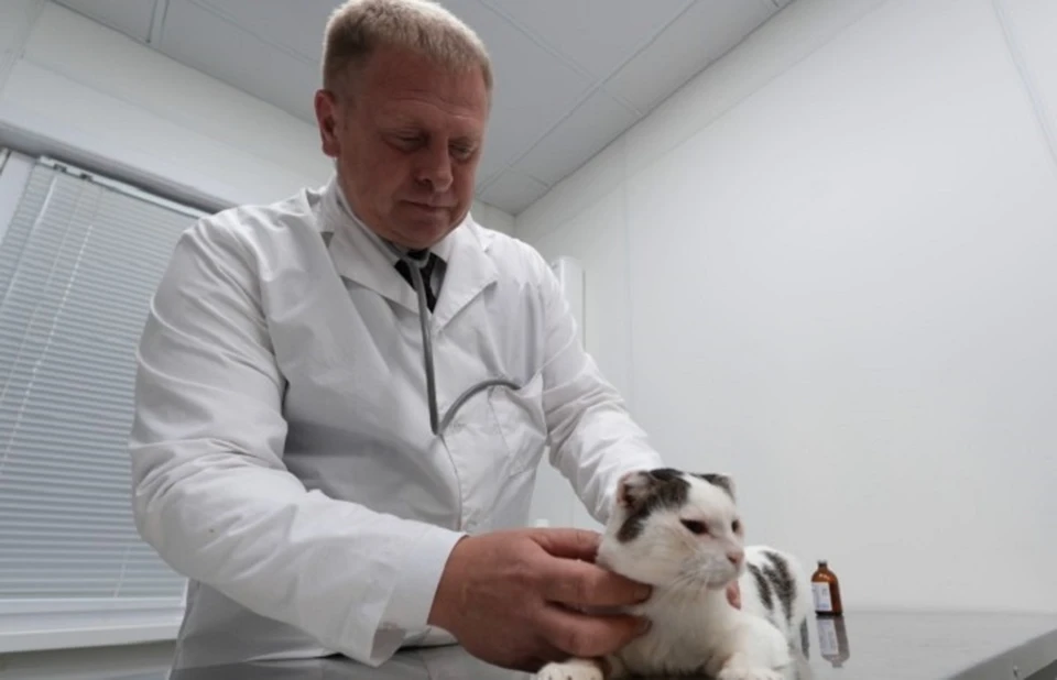 Юрий Гультяев удостоен звания «Заслуженный ветеринарный врач Российской Федерации». Фото: правительство ЯНАО