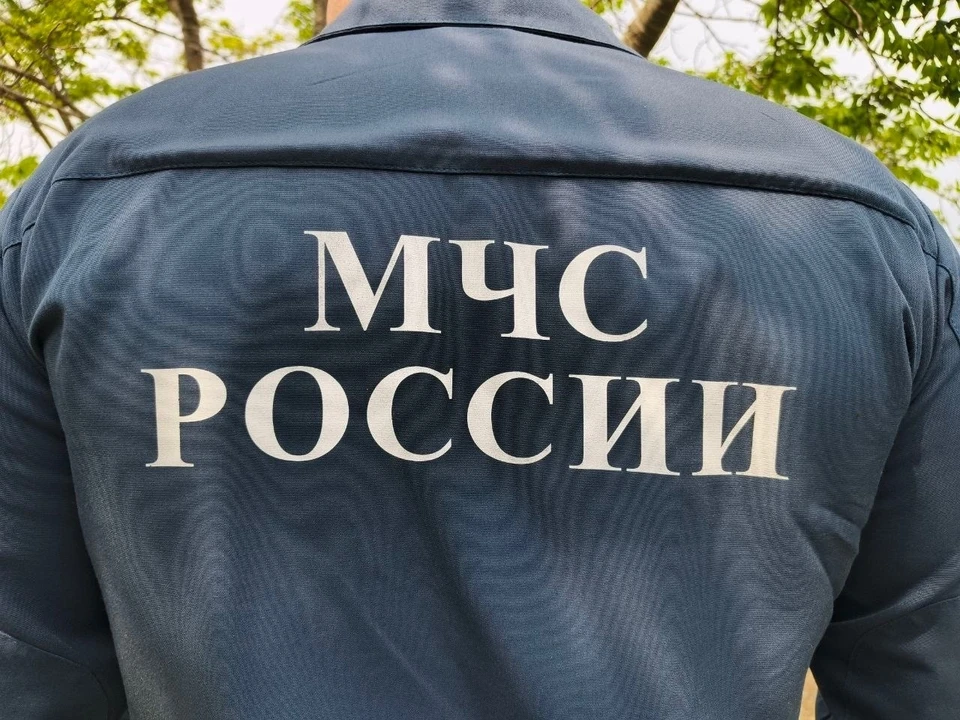 Фото: Маргарита Сурина