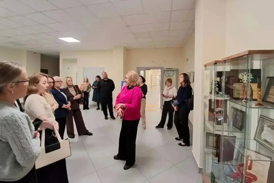 Петербург и Мариуполь обменялись опытом в сфере образования. Фото: АГО Мауриполь