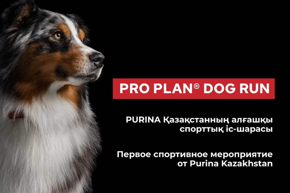 Представлено организаторами
