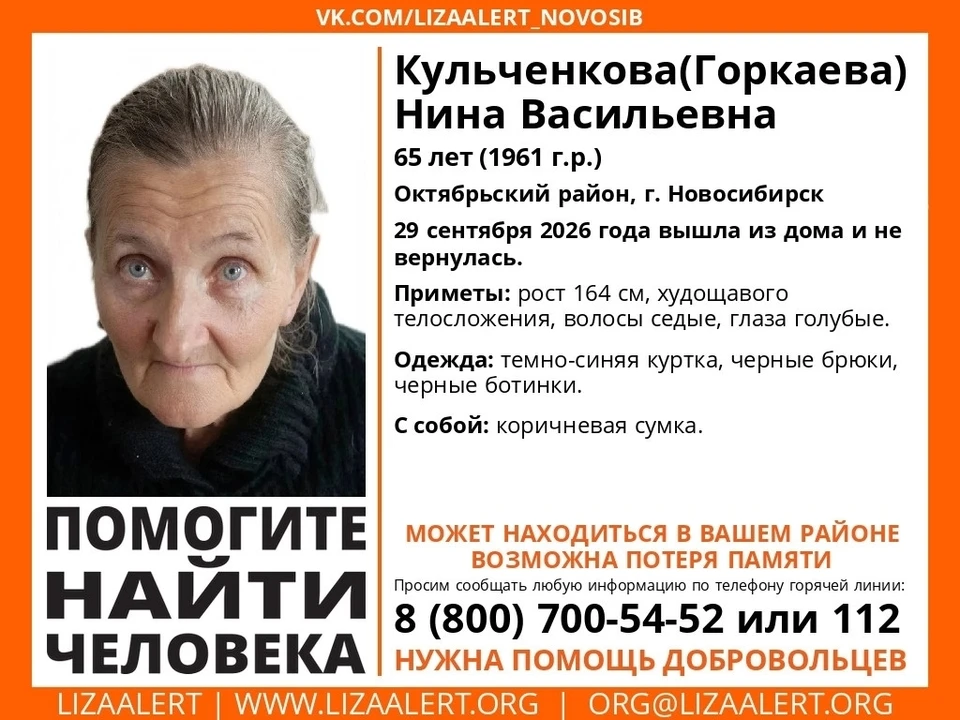 Фото: поисковый отряд «Лиза Алерт».