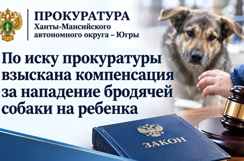 Фото: прокуратура ХМАО-Югры