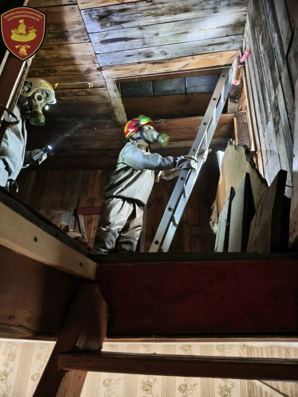 Фото: ОГБУ "ПСС"