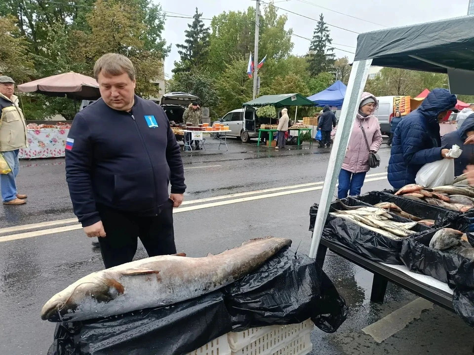 На ульяновской сельхозярмарке продают гигансткого сома весом 25 кг. ФОТО: администрация Ульяновска