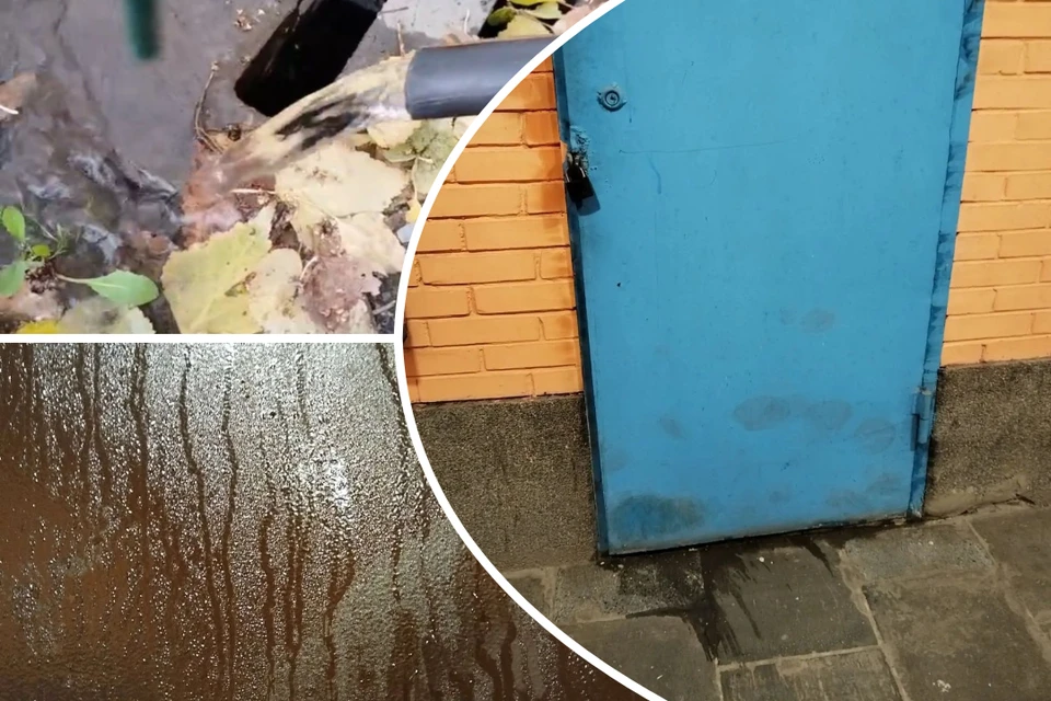 Вода топит подвал уже несколько дней. Фото: Предоставлено Алексеем