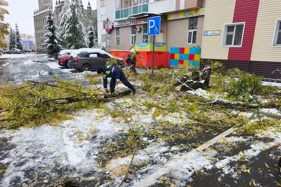 Фото: администрация Сургута