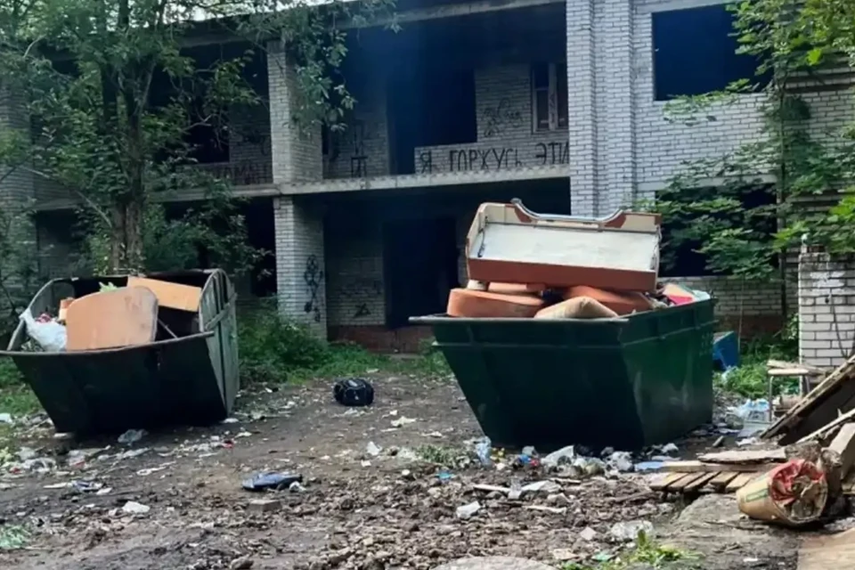 В Ленинградской области ликвидировали свалки возле контейнерных площадок. Фото: Эконадзор Ленобласти