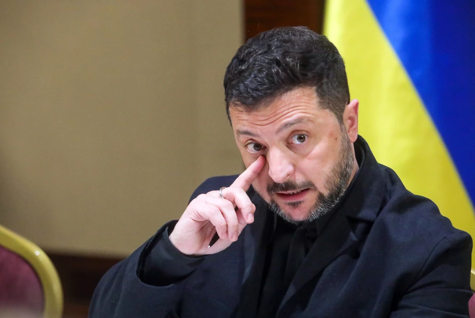 В Германии заявили о панике на Украине из-за конфликта Зеленского с Трампом. Фото: Volodymyr Tarasov/GLOBAL LOOK PRESS