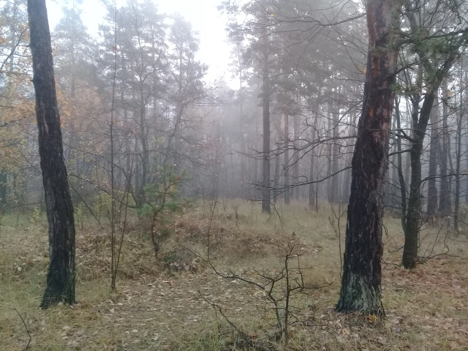 В Белгородском округе 12 октября в 9:58 повторно объявили опасность атаки дронов.