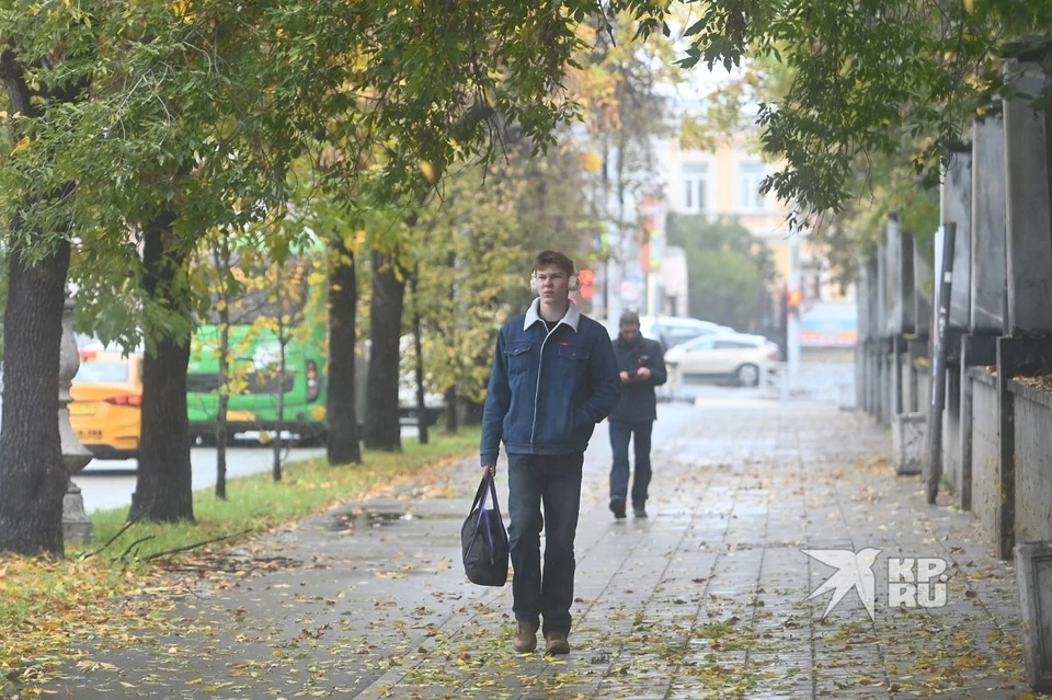 15 августа потеплеет до 17 градусов