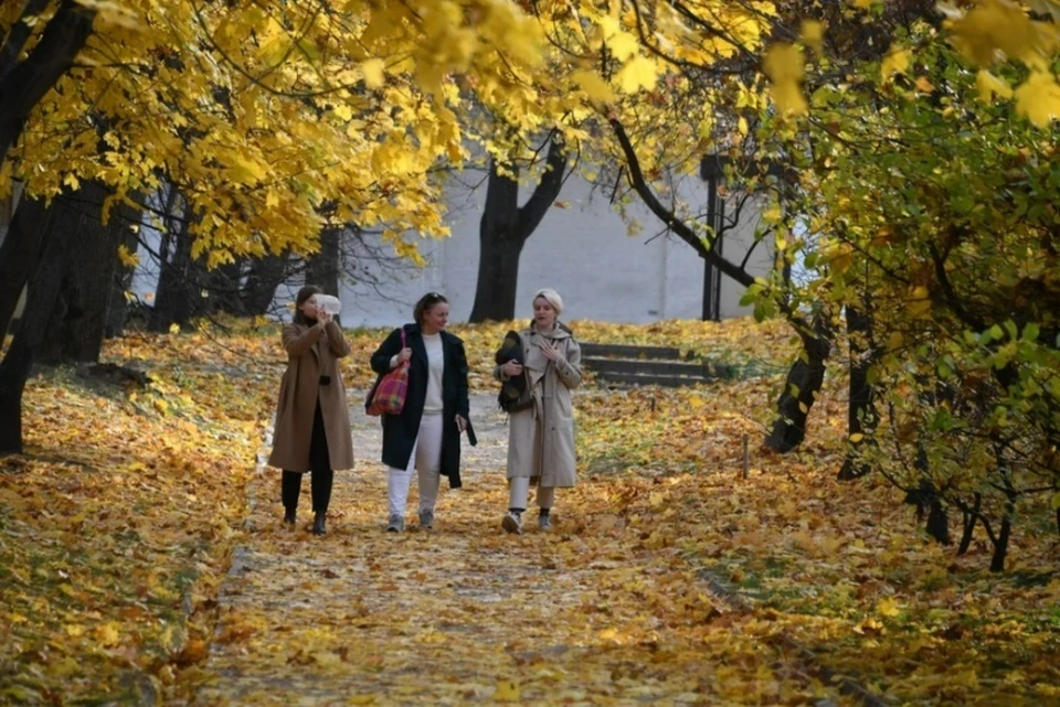 Фото из архива.