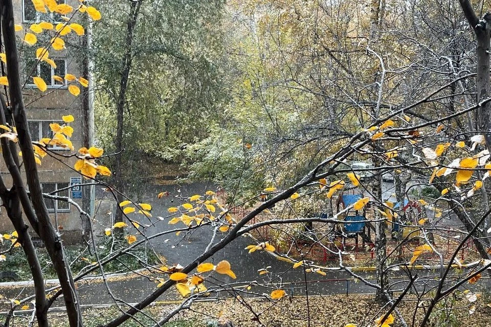 Мокрый снег накрыл город.