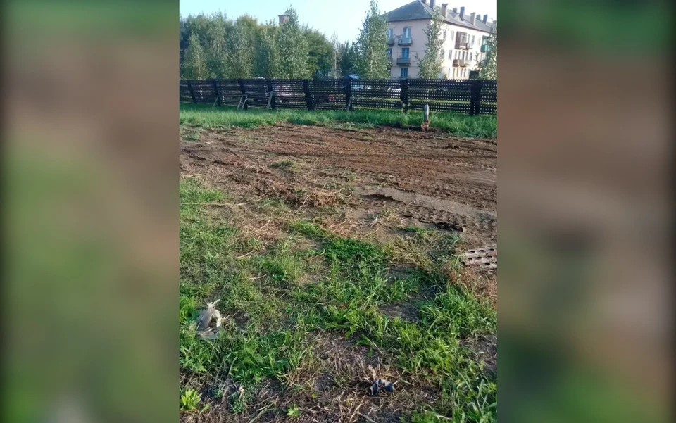 Фото: прокуратура Красноярского края