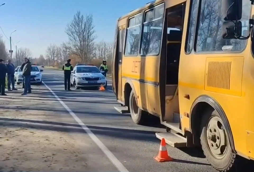 Под колеса школьного автобуса попал 16-летний парень. ФОТО: Госавтоинспекция Ярославской области