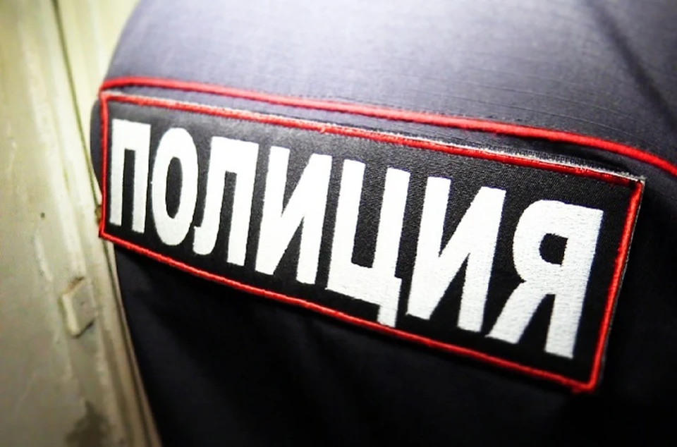 В Кировском районе Донецка правоохранители задержали молодого мужчину, которого подозревают в убийстве. Фото (архив): МВД ДНР