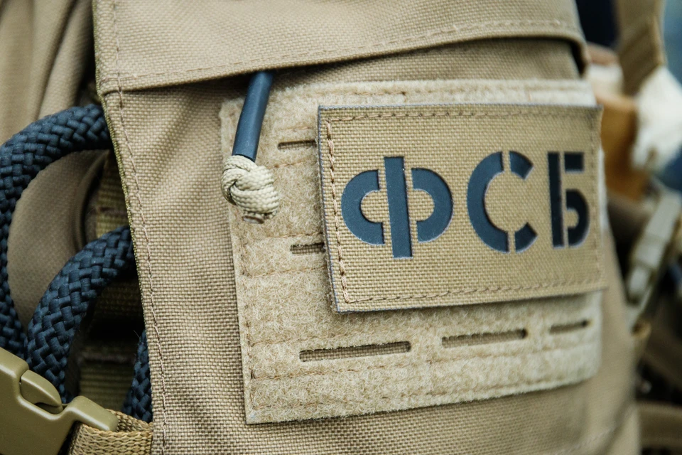 ФСБ России сообщили о поимке украинского агента, который шпионил за военными кораблями в Крыму. Фото: Ilya Moskovets/ URA.RU/Global Look Press