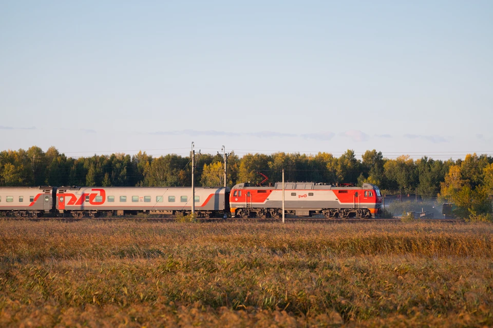 Фото: Александр Манзюк/ТАСС