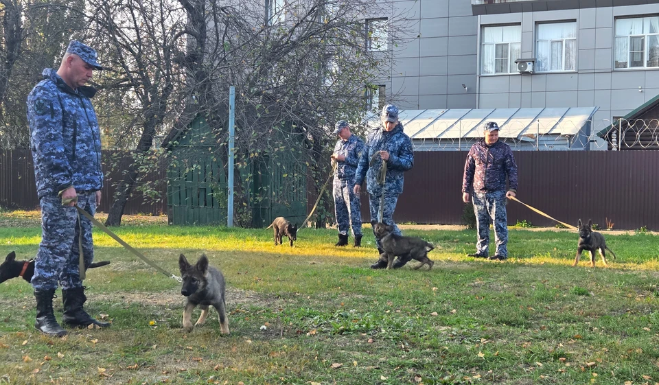 Фото пресс-службы УФСИН Тамбовской области
