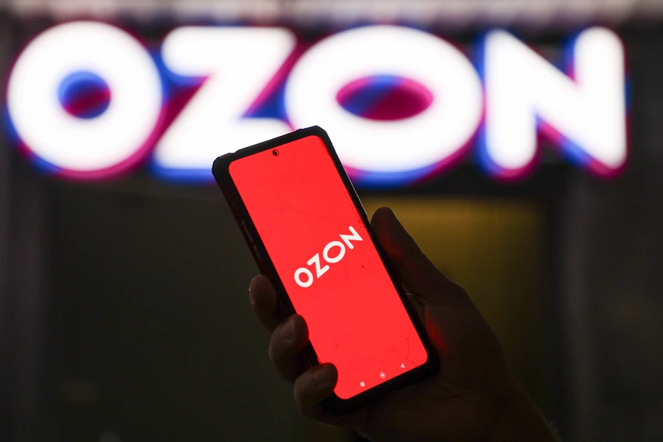 На Ozon «Черная пятница» продлится с 13 ноября по 2 декабря. Предшествующая ей распродажа «11.11» проходит с 22 октября по 12 ноября. Фото: Belkin Alexey/news.ru/Global Look Press
