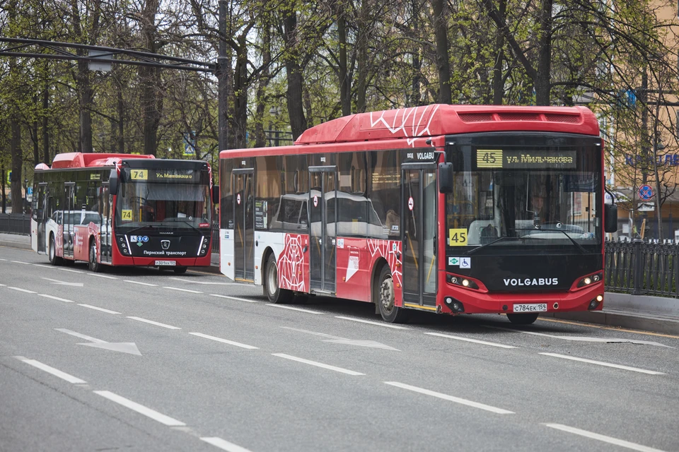 На улицу Борчанинова вернулись сразу восемь автобусных маршрутов.