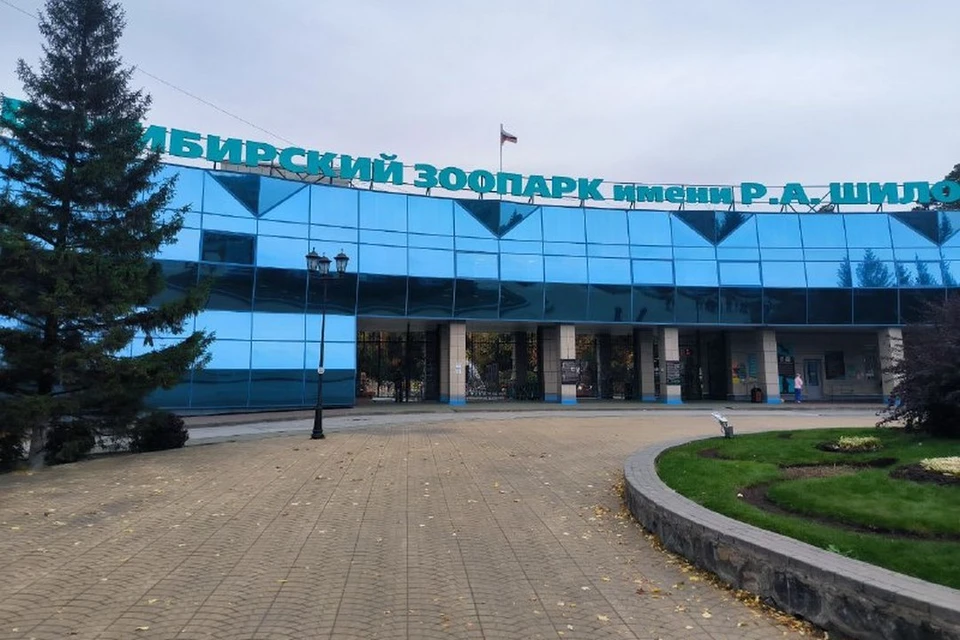 Жители Новосибирска 31 октября соберут вещи для зверей в зоопарке.
