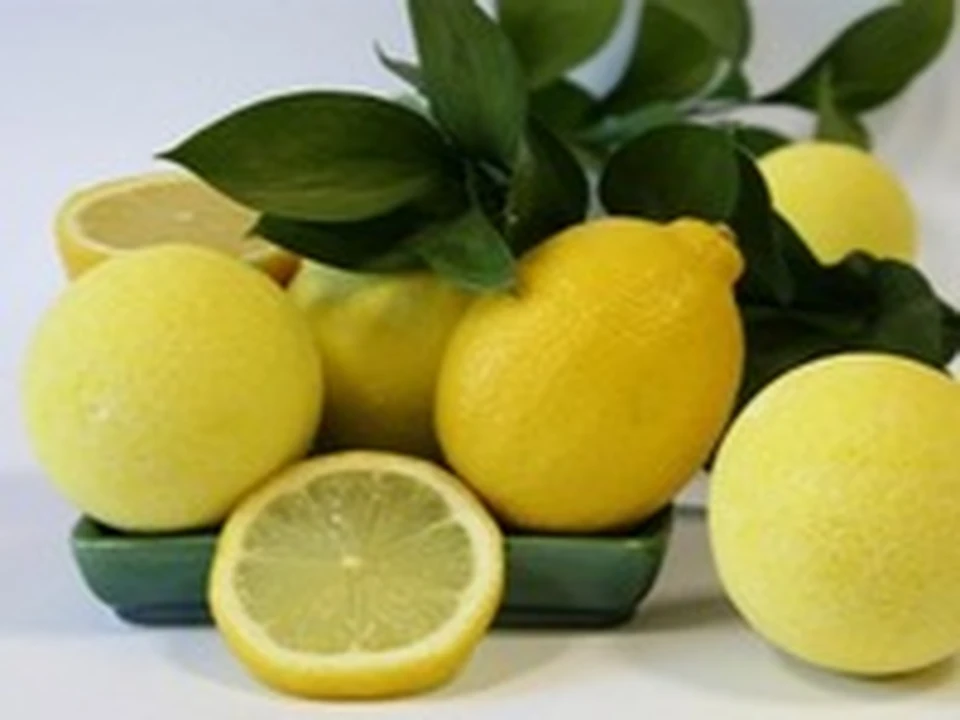 Варенье из лимонов с кожурой через мясорубку на зиму
