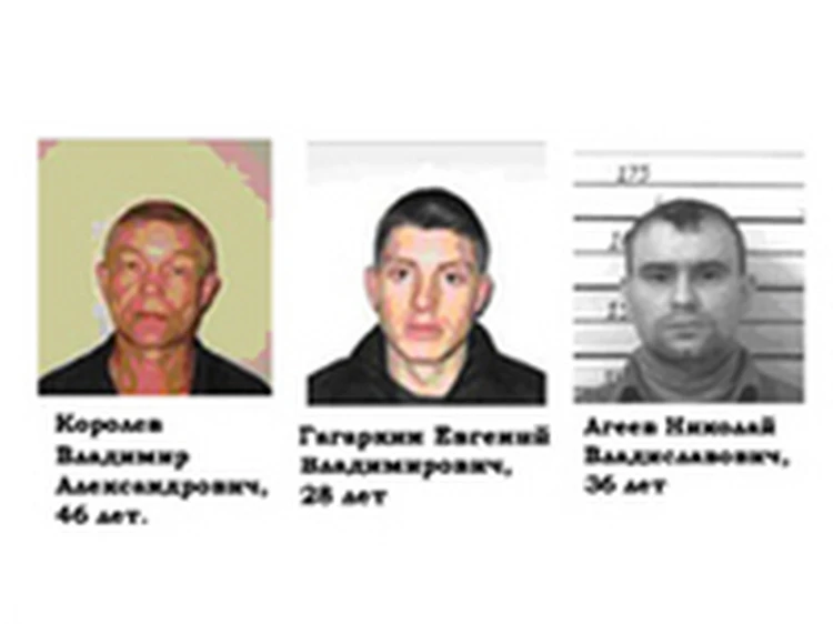 На подозреваемых в убийстве пятерых человек в Северо-Енисейском районе полицейских вывела служебная собака
