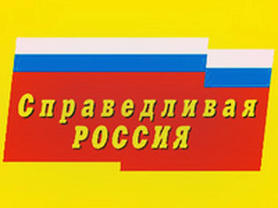 Депутат Светлана Кайгородова будет выдвигаться от «Справедливой России»
