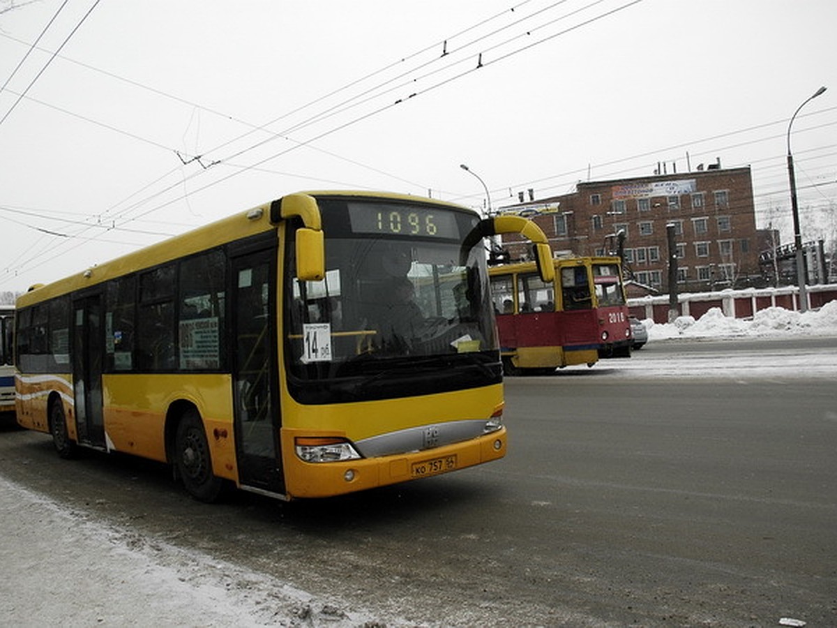 В Новосибирске до Плющихинского жилмассива и «Чистой слободы» дотянули  автобусы и маршрутки - KP.RU