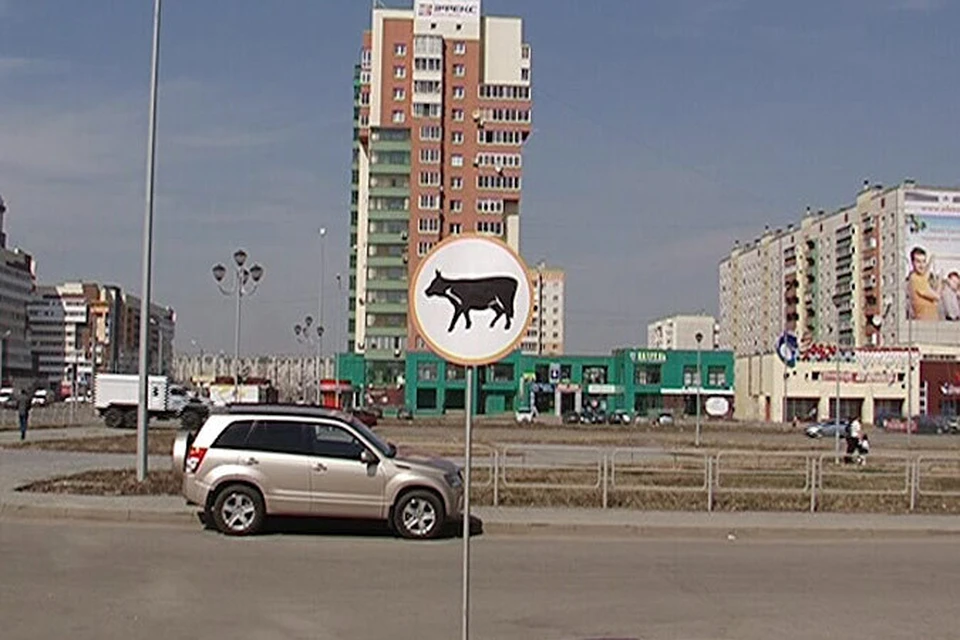 В Челябинске установили несуществующий дорожный знак