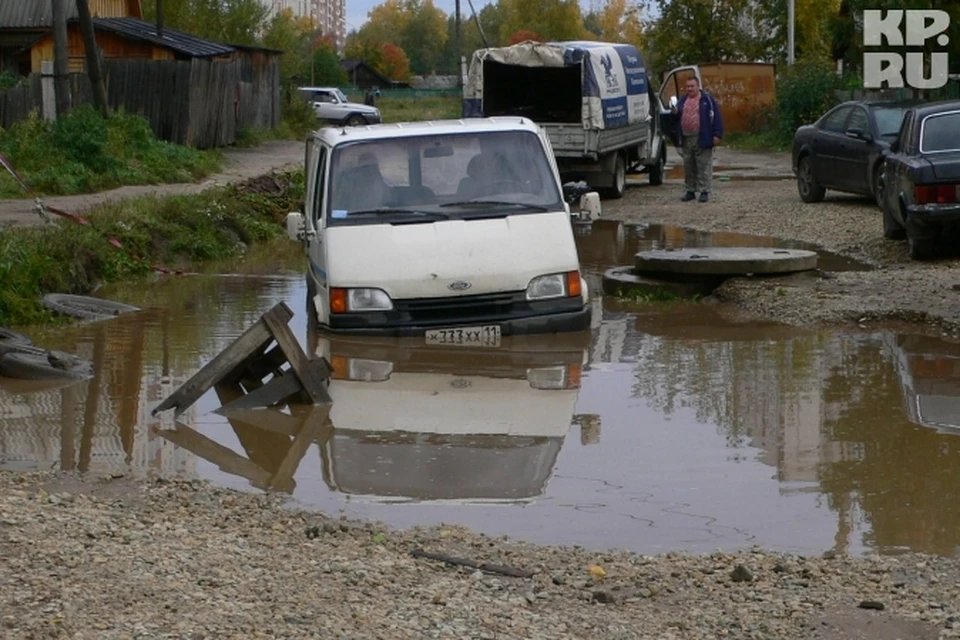 Свежая жертва лужи. Фото автора.