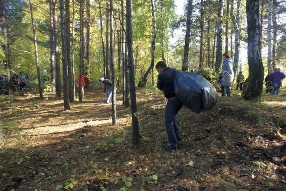 Можно ли сейчас в лесу. Битцевский лес реконструкция. Реабилитация Битцевского леса. Битцевский парк сейчас. Благоустройство Битцевского леса.