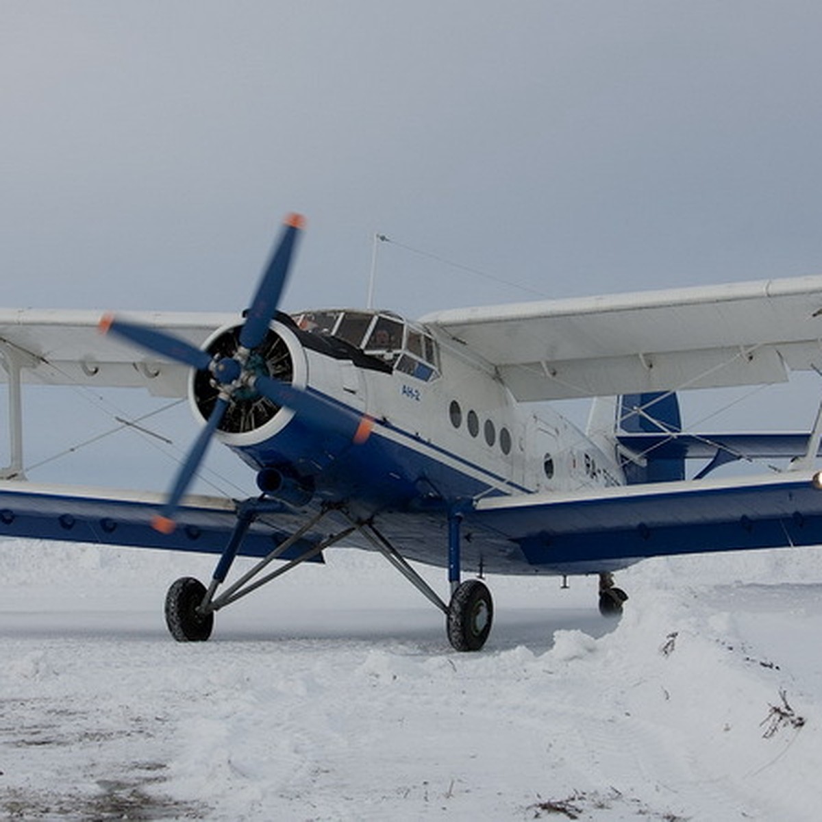 В небо над Новосибирском запустят обновленный Ан-2 - KP.RU