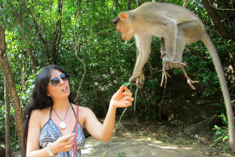 Анастасия Гузель-Ганиева говорит, что в плане архитектуры смотреть на Гоа нечего, зато флора и фауна поражают воображение.