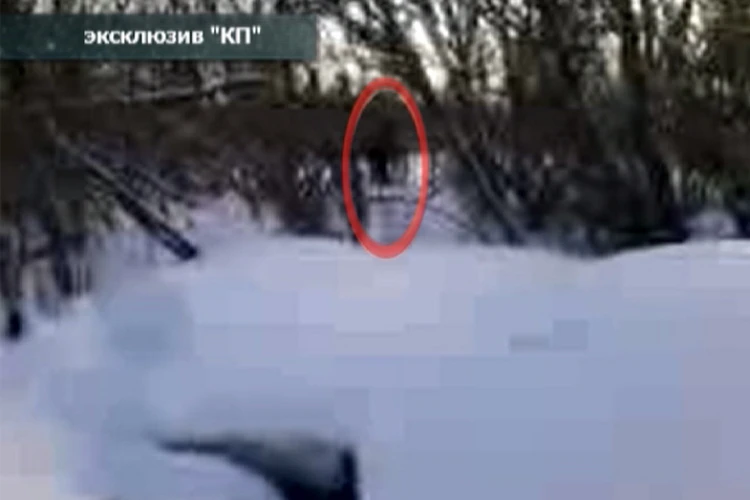 Снежный человек или нет: видео со странной фигурой вызвало споры