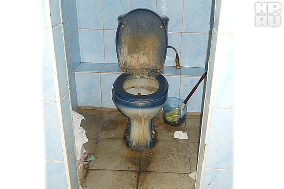 Скрытая камера в туалете в общаге - лучшее порно видео на arnoldrak-spb.ru