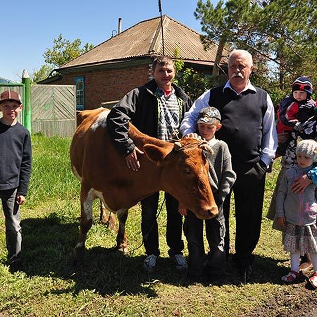 Леонид Якубович купил в Омской области корову - KP.RU