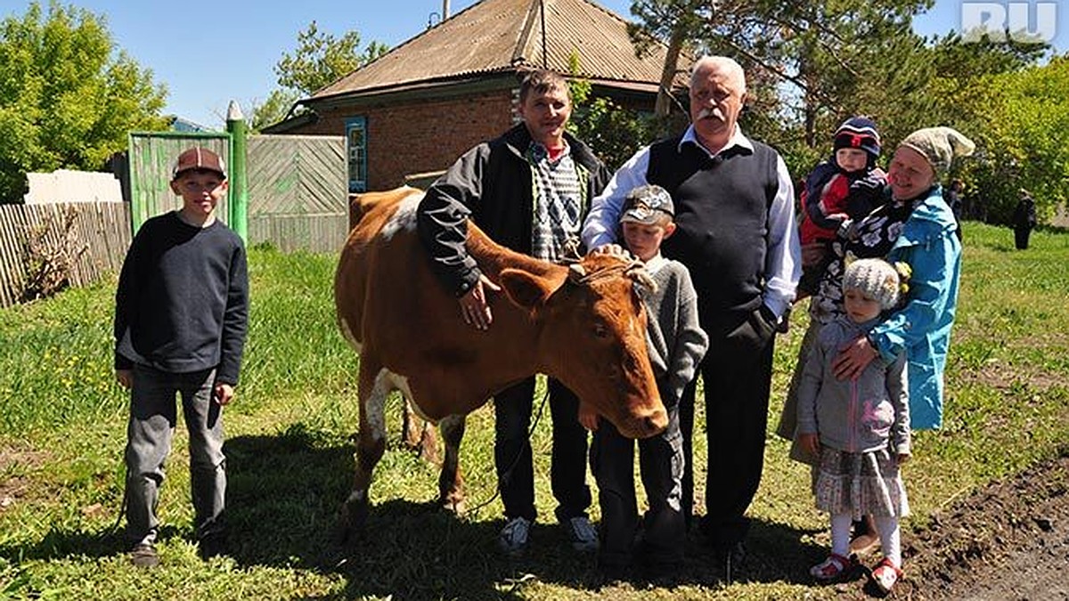 Леонид Якубович купил в Омской области корову - KP.RU