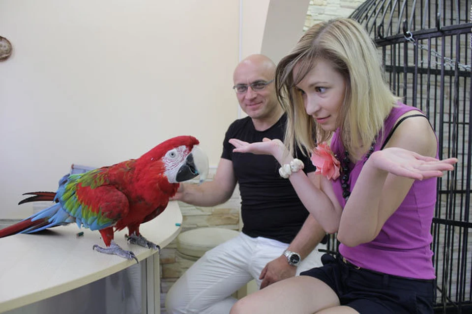 Зоопарк представляет нового обитателя