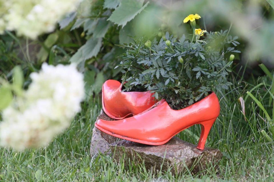Даже если вы не послушаете советы нашего стилиста и купите неправильную обувь, из нее всегда можно сделать красивую подставку для цветов!