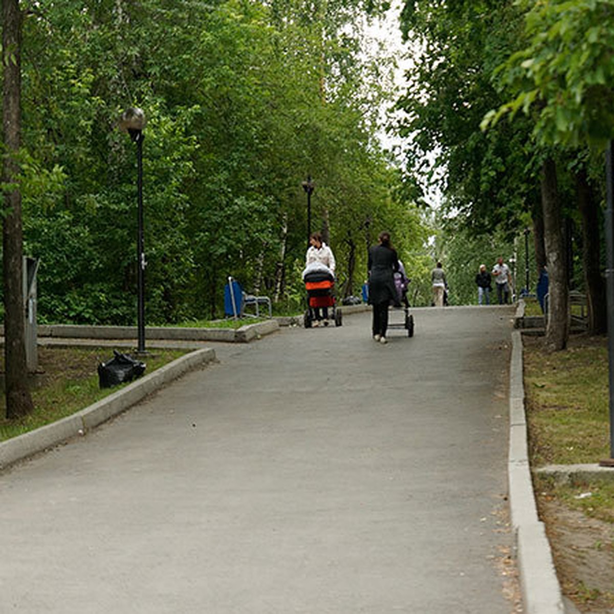 Где в екатеринбургских парках можно полакомиться земляникой, порыбачить и  погулять по амфитеатру - KP.RU