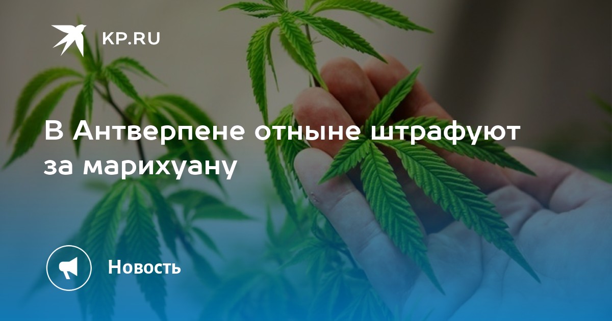 Сколько марихуаны можно носить с собой украина как поменять язык на браузере тор hydraruzxpnew4af