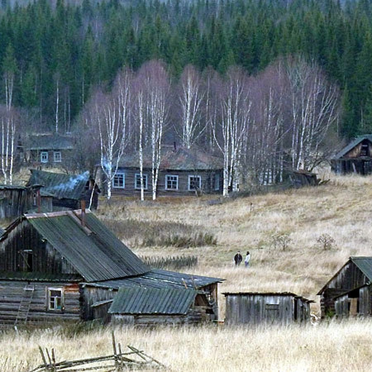 У отца пока мало шансов вернуть из тайги детей - KP.RU