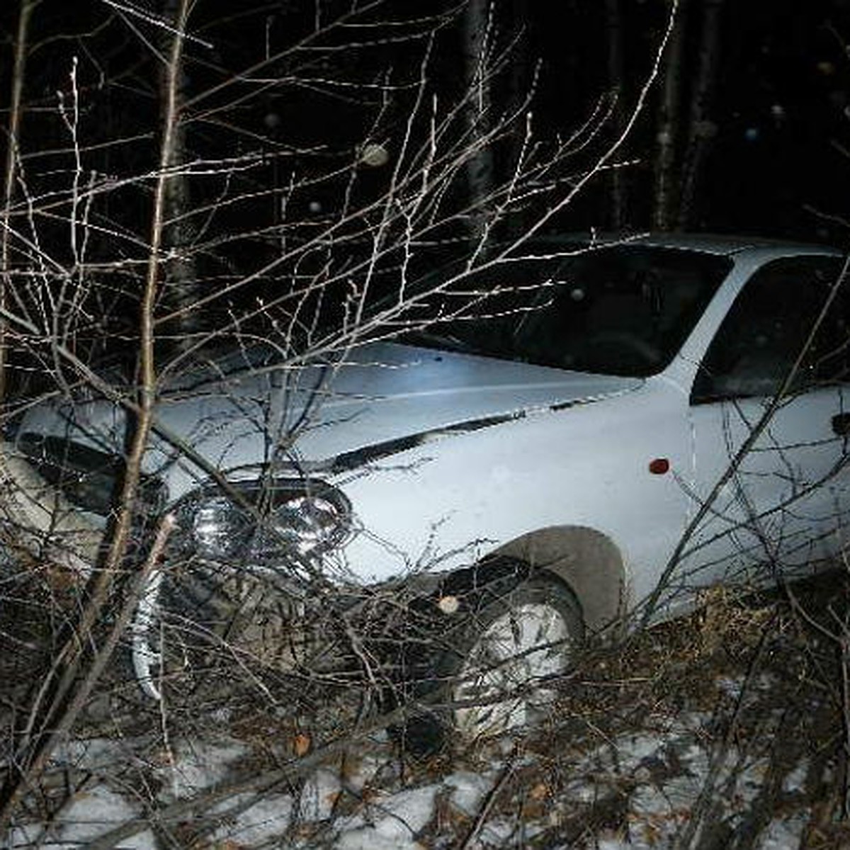 Девушка уснула за рулем иномарки и врезалась в дерево - KP.RU