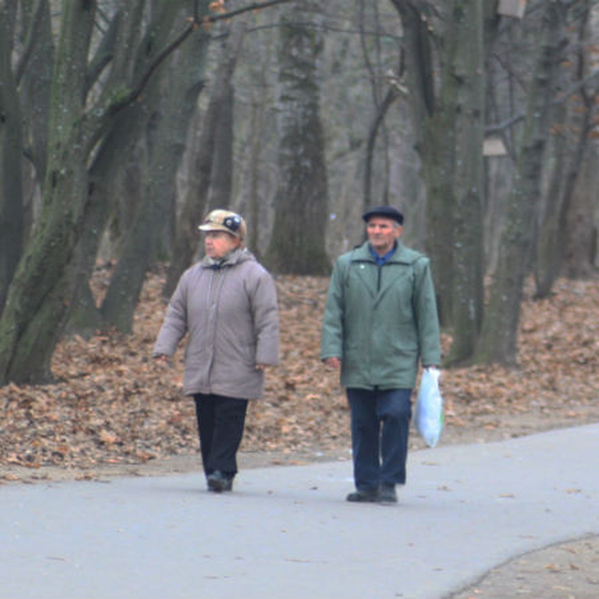 Гродненцы о благоустройстве лесопарка «Румлево»: «Мы боимся, что здесь все  вырубят без разбору!» - KP.RU