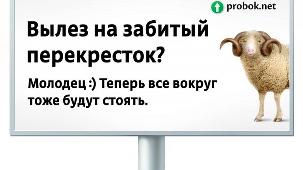 В Москве объявили охоту на «баранов» за баранкой - KP.RU