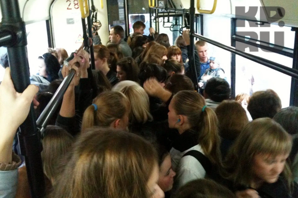 Готовьте мелочь, или Почему жителям Вологды приходится платить за проезд в автобусах дважды