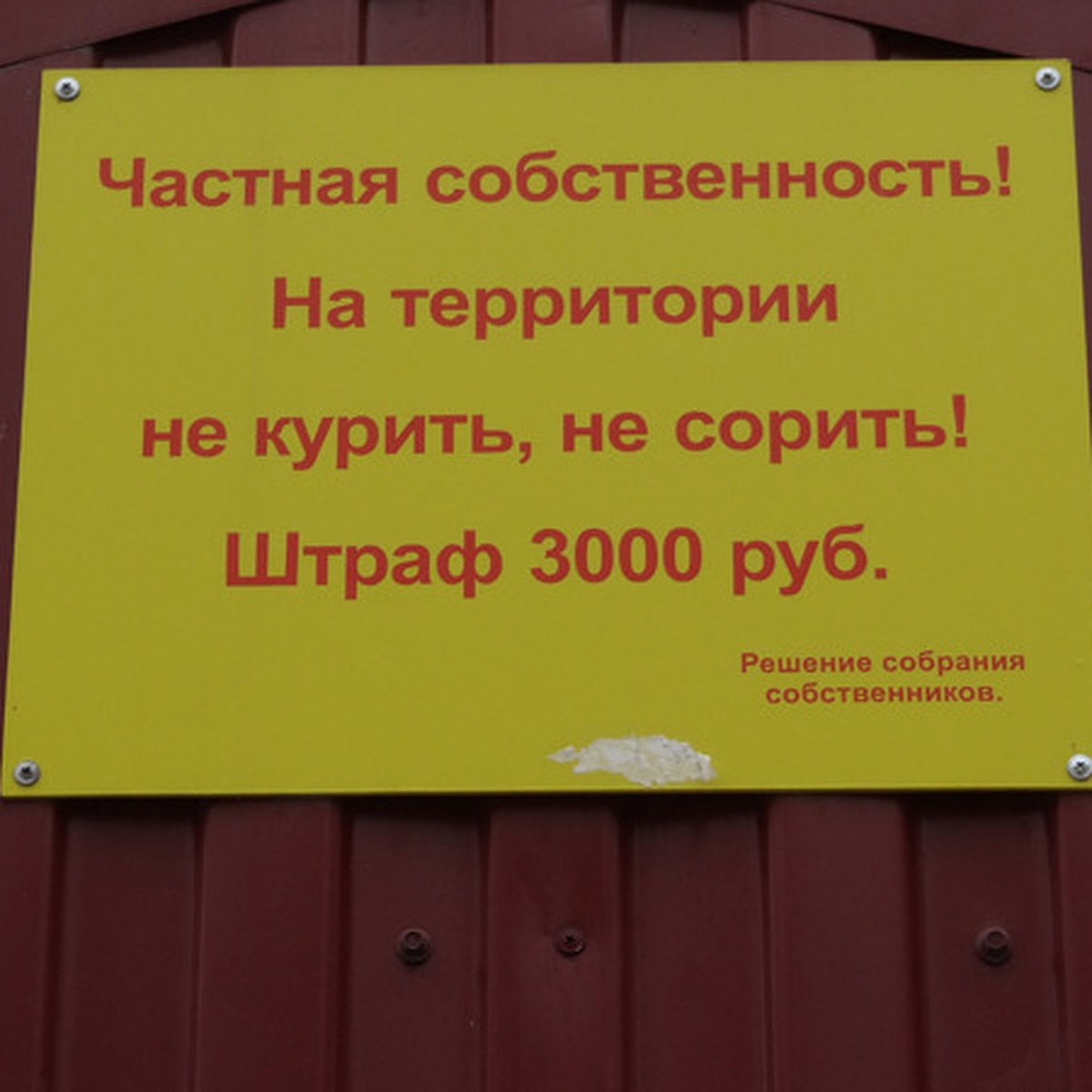 По ту сторону ЖКХ». Часть 4. Даже в почтовом ящике нагажено… - KP.RU