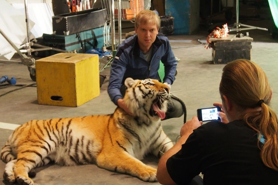 На съемках фильма Светлакову пришлось приручить амурскую тигрицу.
